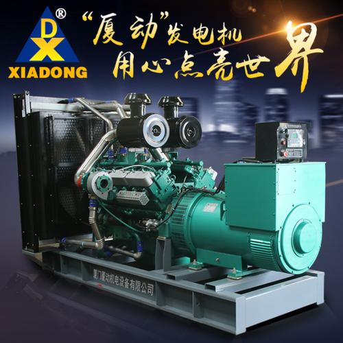 上海江申柴油发电机组-发电机组出租-厦门厦动机电设备